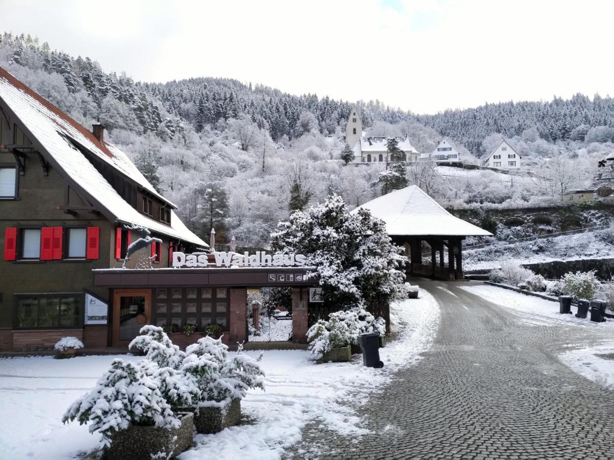 Das Waldhaus Forbach Exteriör bild